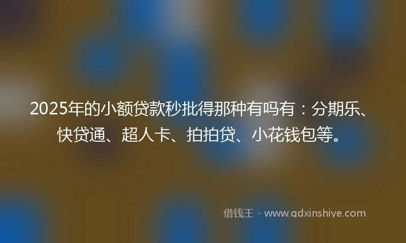 2025年的小额贷款秒批得那种有吗有：分期乐、快贷通、超人卡、拍拍贷、小花钱包等。