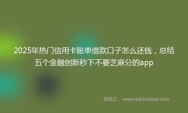 2025年热门信用卡账单借款口子怎么还钱，总结五个金融创新秒下不要芝麻分的app