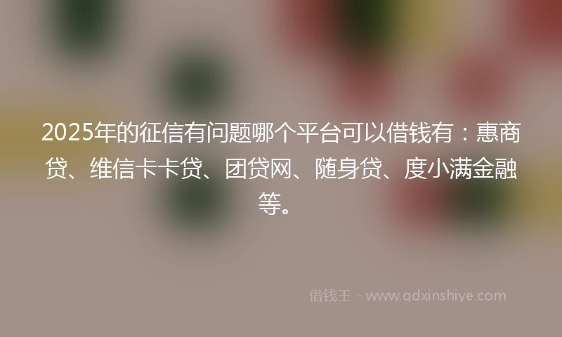 2025年的征信有问题哪个平台可以借钱有：惠商贷、维信卡卡贷、团贷网、随身贷、度小满金融等。