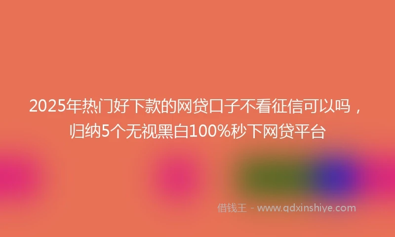 2025年热门好下款的网贷口子不看征信可以吗，归纳5个无视黑白100%秒下网贷平台