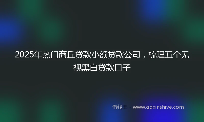2025年热门商丘贷款小额贷款公司，梳理五个无视黑白贷款口子