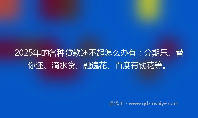 2025年的各种贷款还不起怎么办有：分期乐、替你还、滴水贷、融逸花、百度有钱花等。
