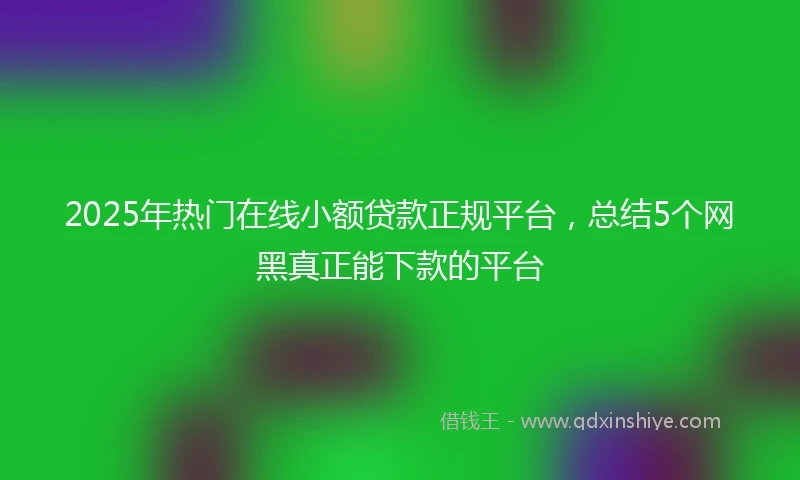 2025年热门在线小额贷款正规平台，总结5个网黑真正能下款的平台