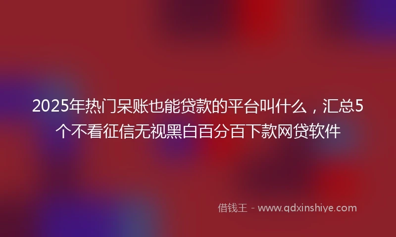 2025年热门呆账也能贷款的平台叫什么,汇总5个不看征信无视黑白百分百下款网贷软件
