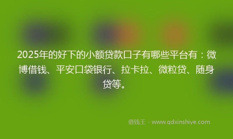 2025年的好下的小额贷款口子有哪些平台有：微博借钱、平安口袋银行、拉卡拉、微粒贷、随身贷等。