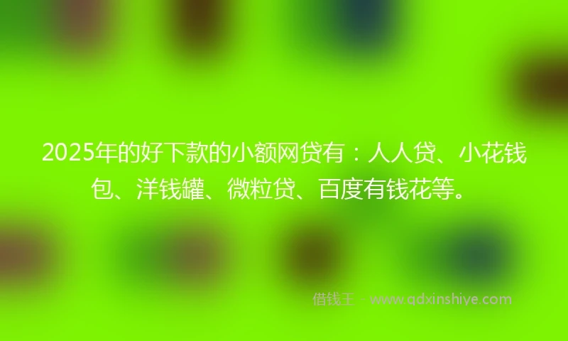 2025年的好下款的小额网贷有：人人贷、小花钱包、洋钱罐、微粒贷、百度有钱花等。