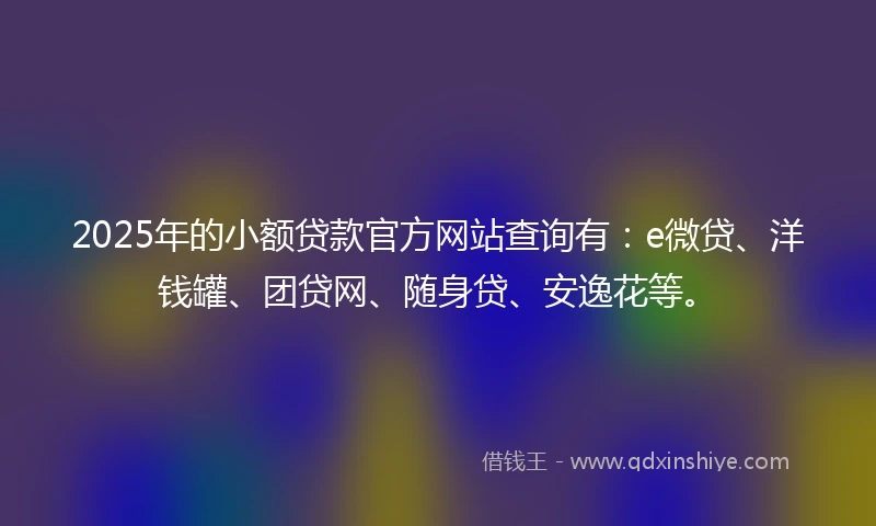 2025年的小额贷款官方网站查询有：e微贷、洋钱罐、团贷网、随身贷、安逸花等。