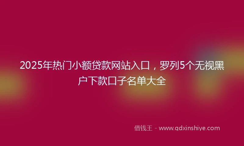 2025年热门小额贷款网站入口，罗列5个无视黑户下款口子名单大全