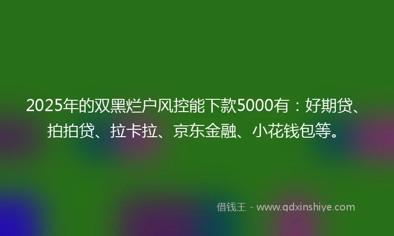 2025年的双黑烂户风控能下款5000有：好期贷、拍拍贷、拉卡拉、京东金融、小花钱包等。