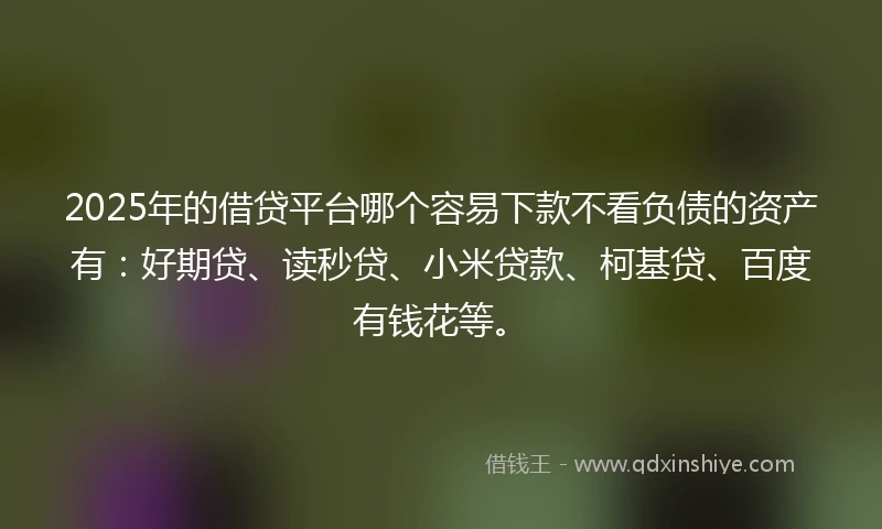 2025年的借贷平台哪个容易下款不看负债的资产有：好期贷、读秒贷、小米贷款、柯基贷、百度有钱花等。