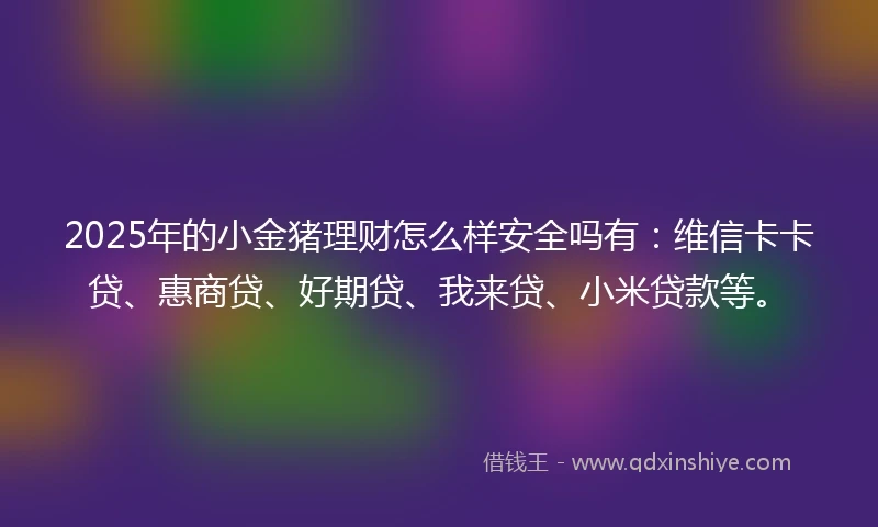 2025年的小金猪理财怎么样安全吗有：维信卡卡贷、惠商贷、好期贷、我来贷、小米贷款等。