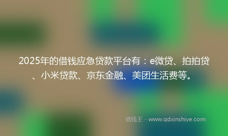 2025年的借钱应急贷款平台有：e微贷、拍拍贷、小米贷款、京东金融、美团生活费等。