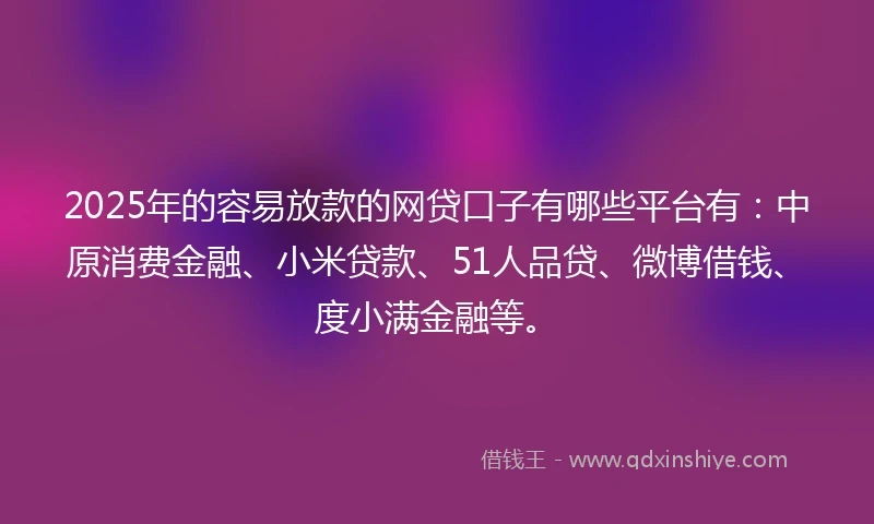 2025年的容易放款的网贷口子有哪些平台有：中原消费金融、小米贷款、51人品贷、微博借钱、度小满金融等。