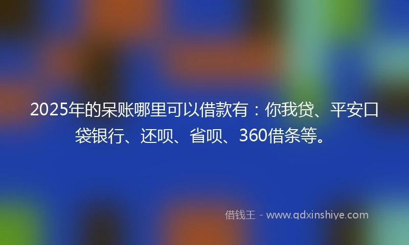 2025年的呆账哪里可以借款有：你我贷、平安口袋银行、还呗、省呗、360借条等。