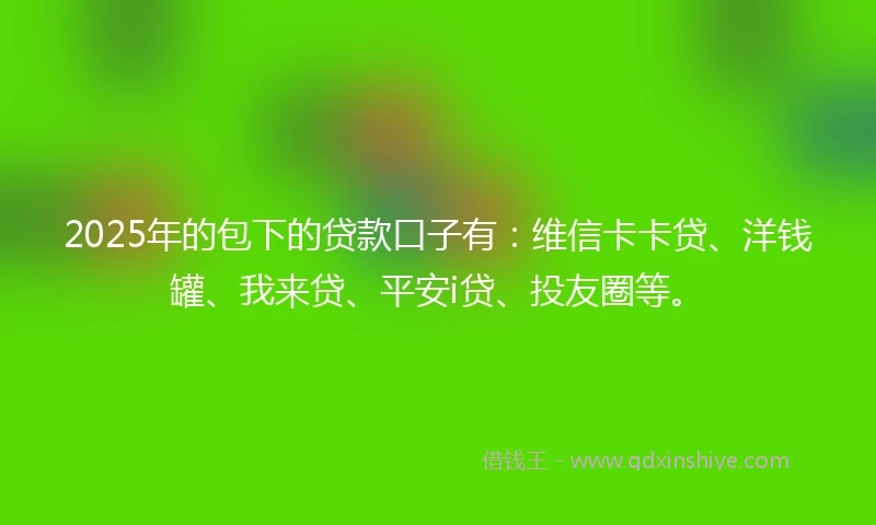 2025年的包下的贷款口子有：维信卡卡贷、洋钱罐、我来贷、平安i贷、投友圈等。