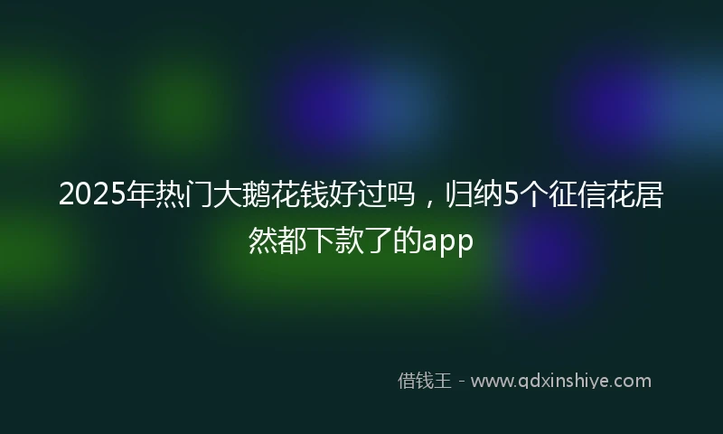 2025年热门大鹅花钱好过吗，归纳5个征信花居然都下款了的app