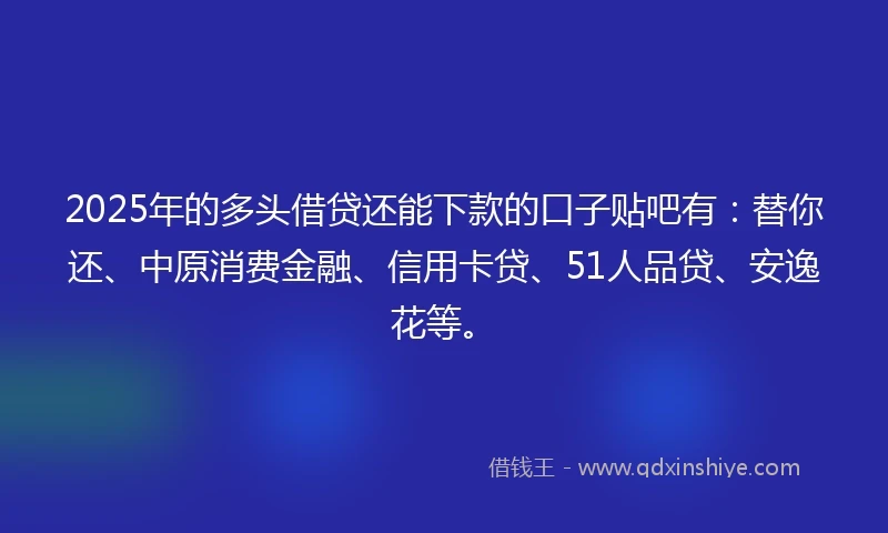 2025年的多头借贷还能下款的口子贴吧有：替你还、中原消费金融、信用卡贷、51人品贷、安逸花等。