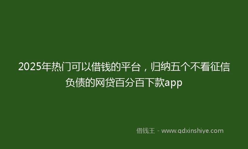 2025年热门可以借钱的平台，归纳五个不看征信负债的网贷百分百下款app