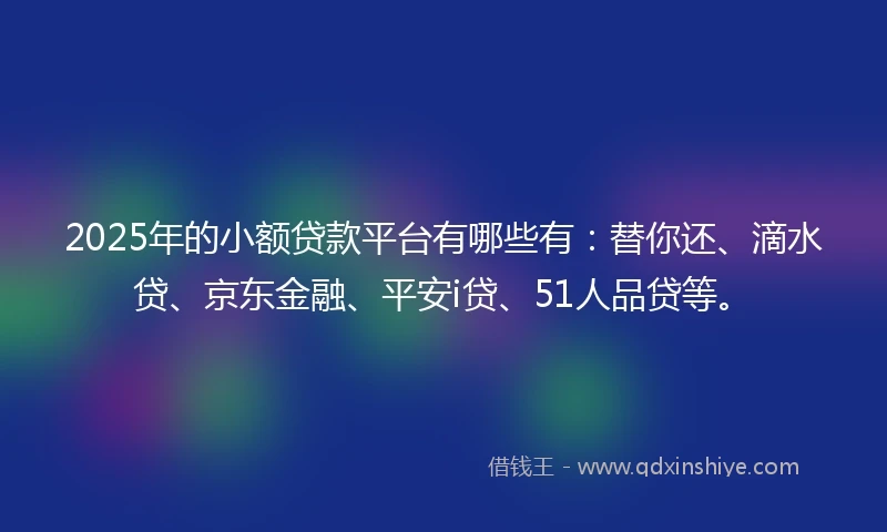2025年的小额贷款平台有哪些有：替你还、滴水贷、京东金融、平安i贷、51人品贷等。