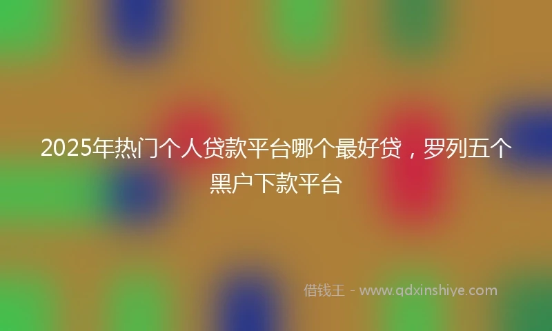2025年热门个人贷款平台哪个最好贷，罗列五个黑户下款平台