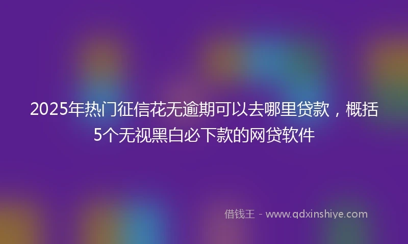 2025年热门征信花无逾期可以去哪里贷款，概括5个无视黑白必下款的网贷软件