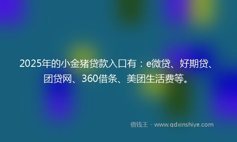 2025年的小金猪贷款入口有：e微贷、好期贷、团贷网、360借条、美团生活费等。