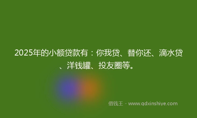 2025年的小额贷款有：你我贷、替你还、滴水贷、洋钱罐、投友圈等。