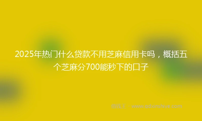2025年热门什么贷款不用芝麻信用卡吗，概括五个芝麻分700能秒下的口子