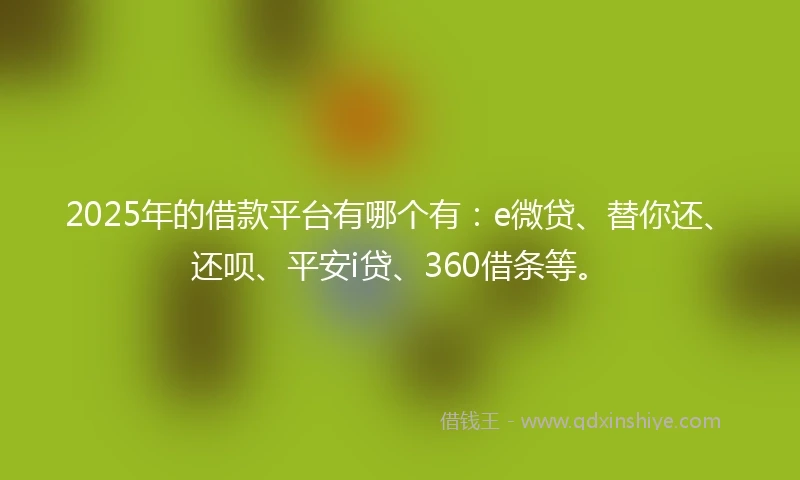 2025年的借款平台有哪个有：e微贷、替你还、还呗、平安i贷、360借条等。