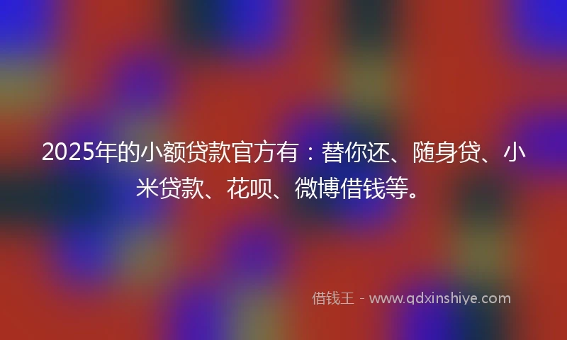 2025年的小额贷款官方有：替你还、随身贷、小米贷款、花呗、微博借钱等。