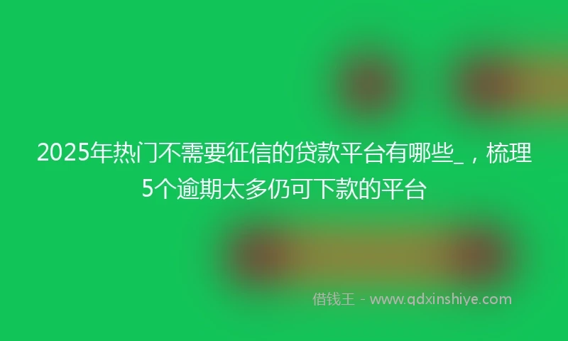 2025年热门不需要征信的贷款平台有哪些_，梳理5个逾期太多仍可下款的平台