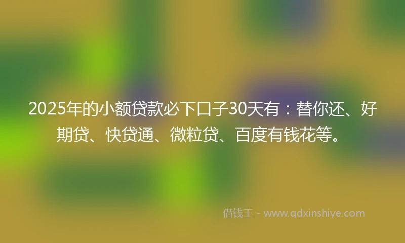 2025年的小额贷款必下口子30天有：替你还、好期贷、快贷通、微粒贷、百度有钱花等。