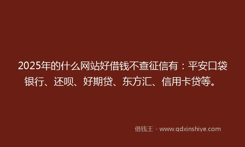 2025年的什么网站好借钱不查征信有：平安口袋银行、还呗、好期贷、东方汇、信用卡贷等。