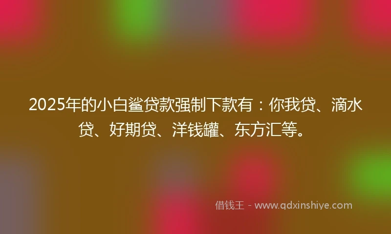 2025年的小白鲨贷款强制下款有：你我贷、滴水贷、好期贷、洋钱罐、东方汇等。