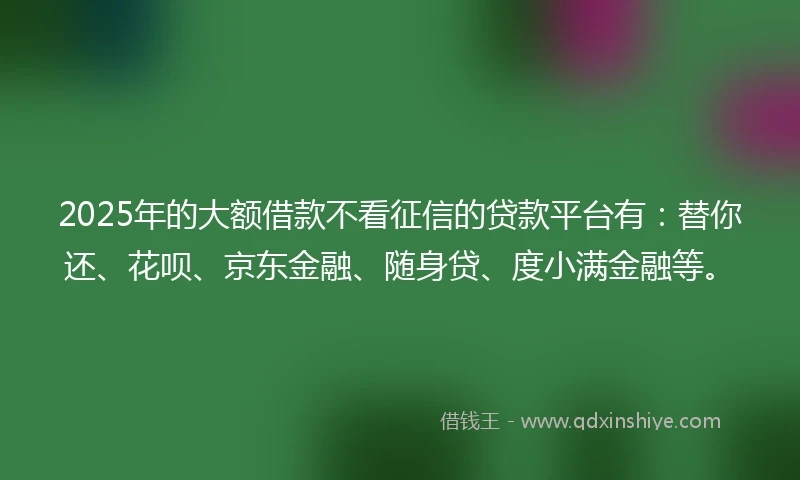 2025年的大额借款不看征信的贷款平台有：替你还、花呗、京东金融、随身贷、度小满金融等。