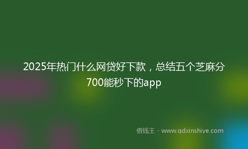 2025年热门什么网贷好下款，总结五个芝麻分700能秒下的app