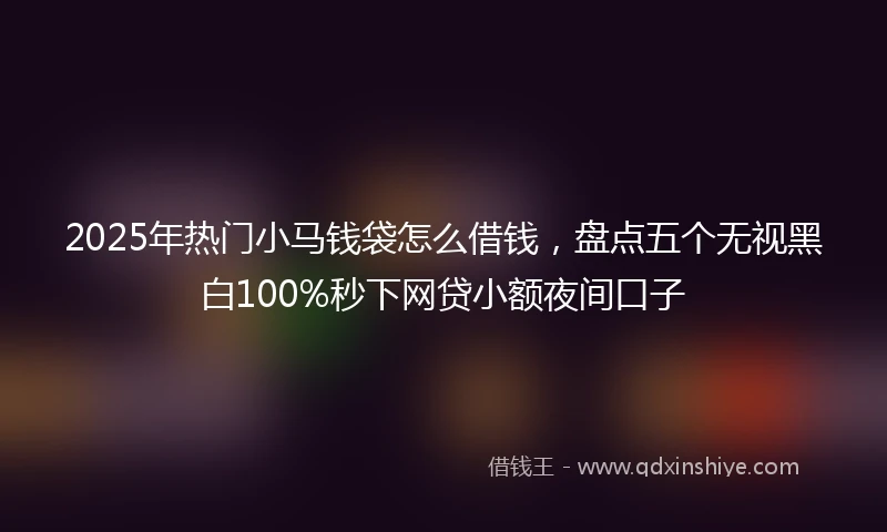 2025年热门小马钱袋怎么借钱，盘点五个无视黑白100%秒下网贷小额夜间口子