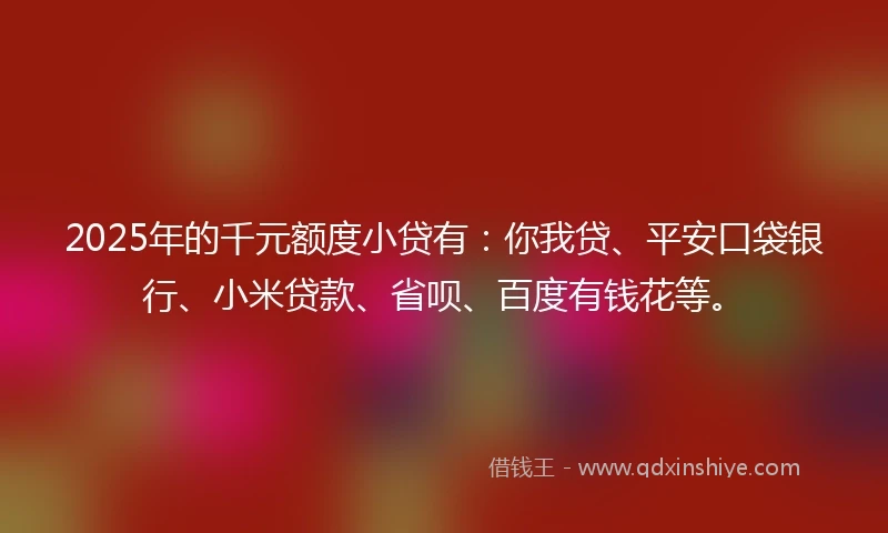 2025年的千元额度小贷有：你我贷、平安口袋银行、小米贷款、省呗、百度有钱花等。