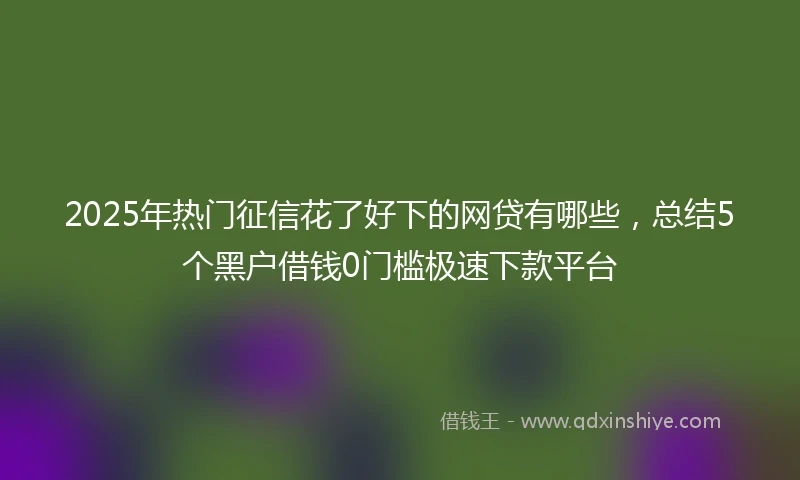 2025年热门征信花了好下的网贷有哪些，总结5个黑户借钱0门槛极速下款平台
