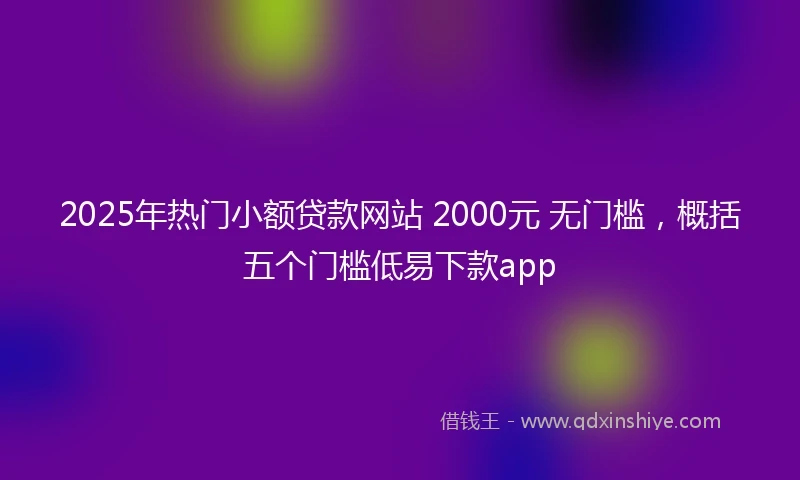 2025年热门小额贷款网站 2000元 无门槛，概括五个门槛低易下款app