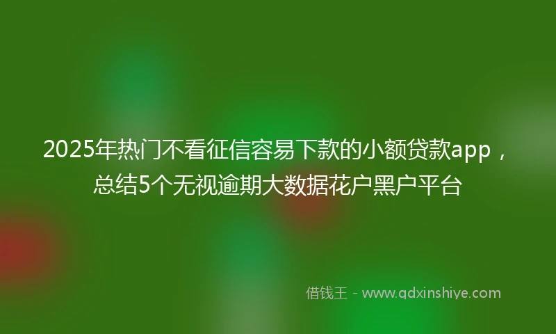 2025年热门不看征信容易下款的小额贷款app，总结5个无视逾期大数据花户黑户平台