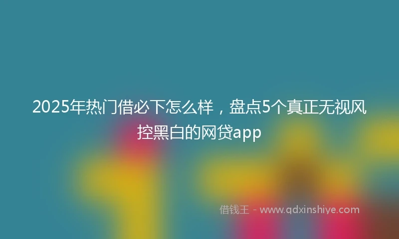 2025年热门借必下怎么样，盘点5个真正无视风控黑白的网贷app