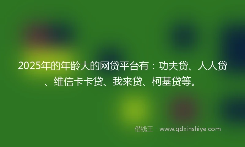 2025年的年龄大的网贷平台有：功夫贷、人人贷、维信卡卡贷、我来贷、柯基贷等。