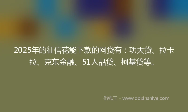 2025年的征信花能下款的网贷有：功夫贷、拉卡拉、京东金融、51人品贷、柯基贷等。