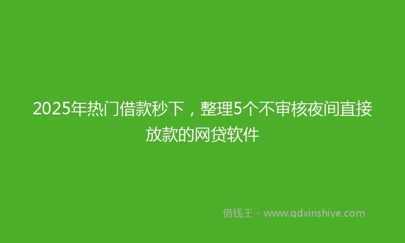 2025年热门借款秒下，整理5个不审核夜间直接放款的网贷软件