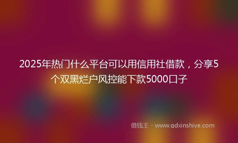 2025年热门什么平台可以用信用社借款，分享5个双黑烂户风控能下款5000口子
