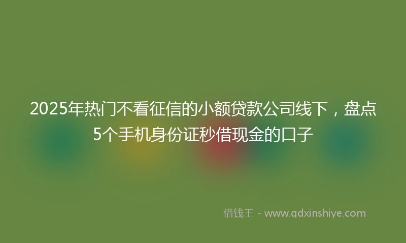 2025年热门不看征信的小额贷款公司线下，盘点5个手机身份证秒借现金的口子