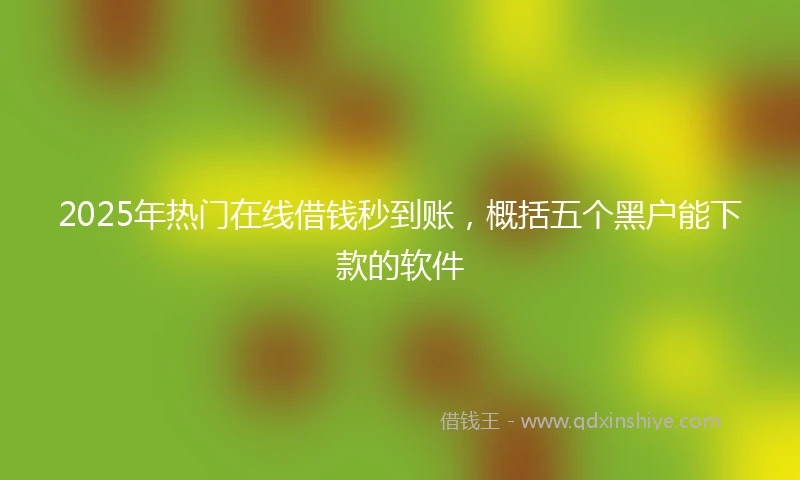 2025年热门在线借钱秒到账，概括五个黑户能下款的软件