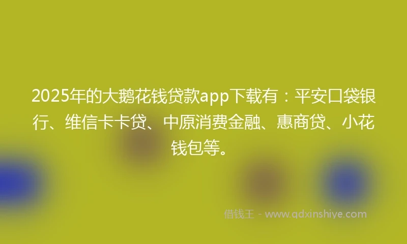 2025年的大鹅花钱贷款app下载有：平安口袋银行、维信卡卡贷、中原消费金融、惠商贷、小花钱包等。