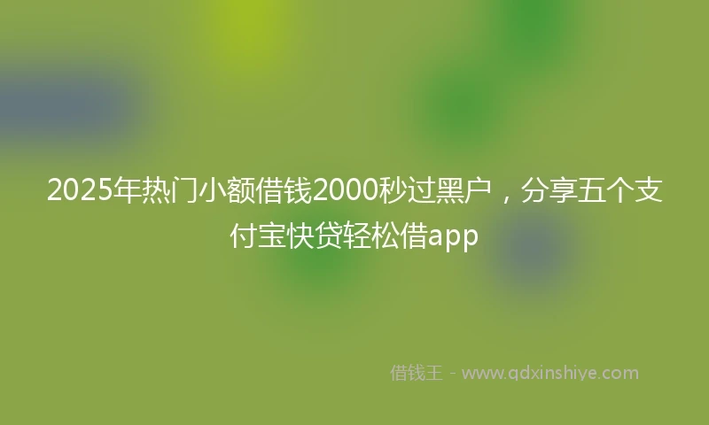 2025年热门小额借钱2000秒过黑户，分享五个支付宝快贷轻松借app